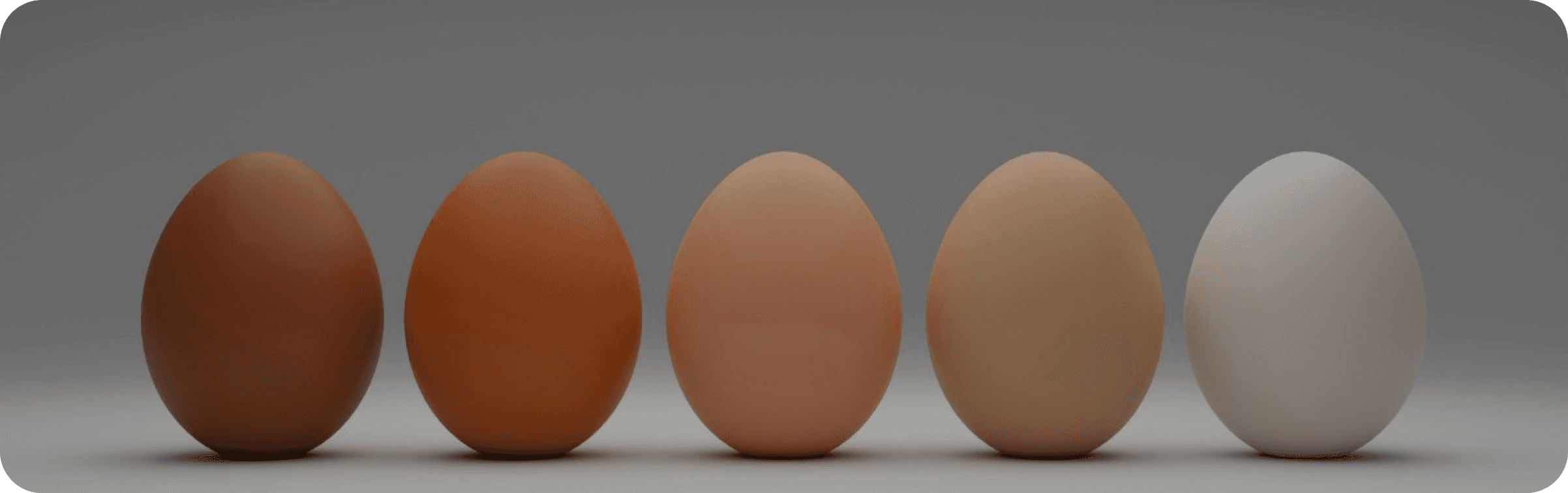 eggs campaign photograph