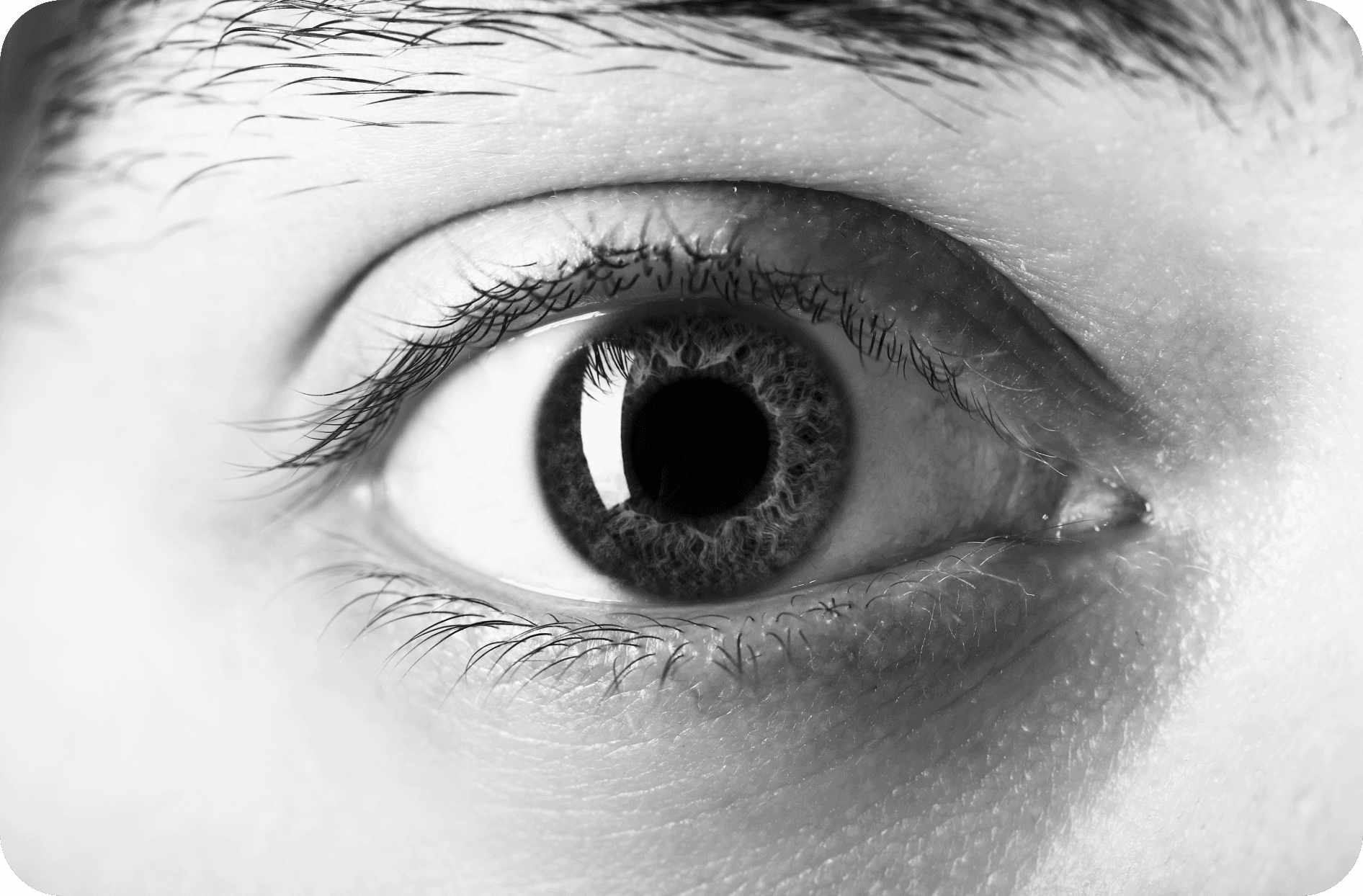 eye close-up visual